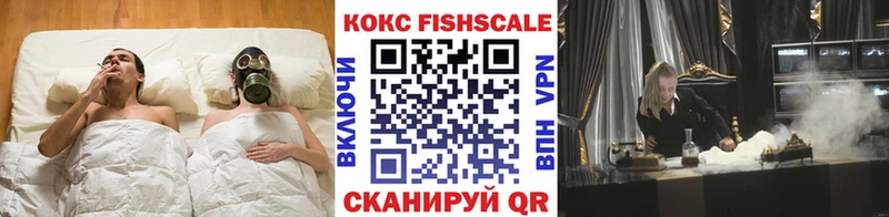 COCAIN FishScale  нарко площадка Telegram  Яранск  купить  цена 