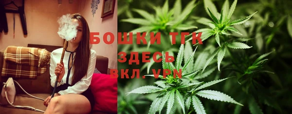 хмурый Покачи