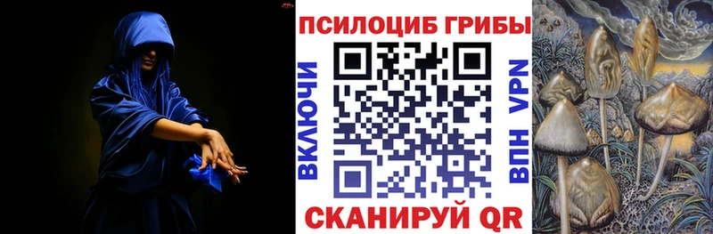 mega зеркало  Яранск  Псилоцибиновые грибы GOLDEN TEACHER  продажа наркотиков 